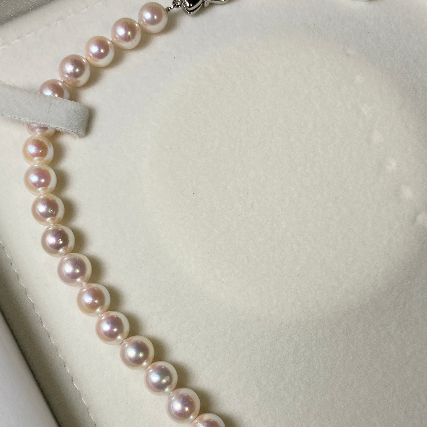 Collier d'ampoule Akoya, 7,5 mm-8 mm